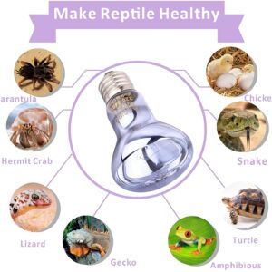 Neodymium Daylight Blue Bulb A60 R63 T30 True Color Rendering Reptile Basking & Art Display Lamp 40W 60W 75W 100W