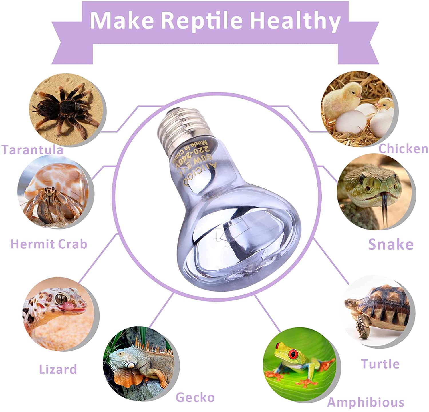 Neodymium Daylight Blue Bulb A60 R63 T30 True Color Rendering Reptile Basking & Art Display Lamp 40W 60W 75W 100W
