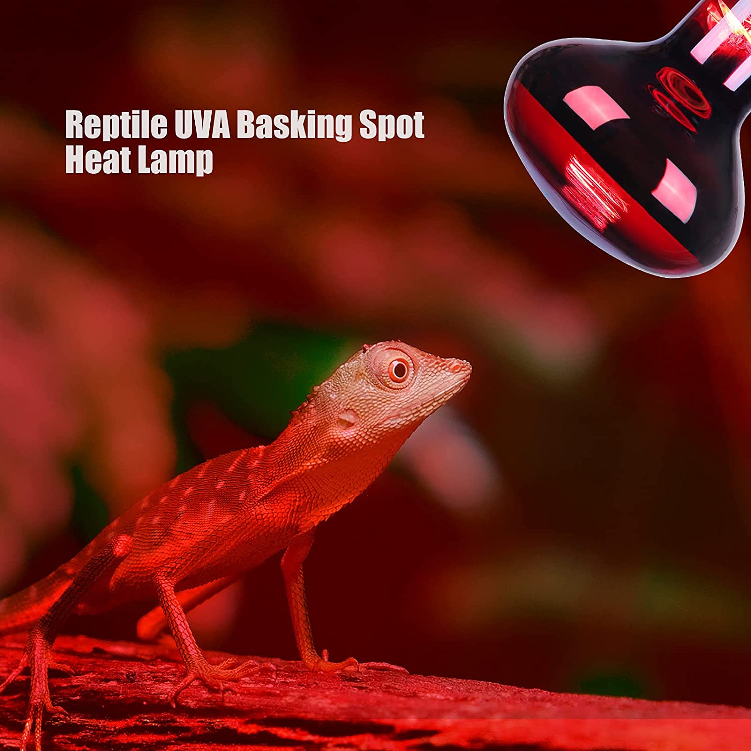 Natural Red Glass Reptile Night Heat Bulb A60 R63 R80 Infrared Nocturnal Basking Lamp 40W 60W 75W 100W - Image 5