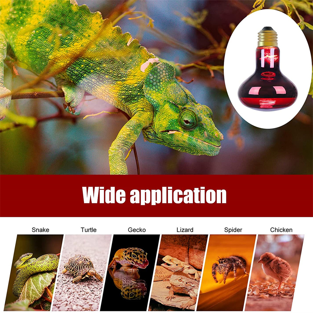 Natural Red Glass Reptile Night Heat Bulb A60 R63 R80 Infrared Nocturnal Basking Lamp 40W 60W 75W 100W - Image 2