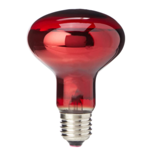 Natural Red Glass Reptile Night Heat Bulb A60 R63 R80 Infrared Nocturnal Basking Lamp 40W 60W 75W 100W